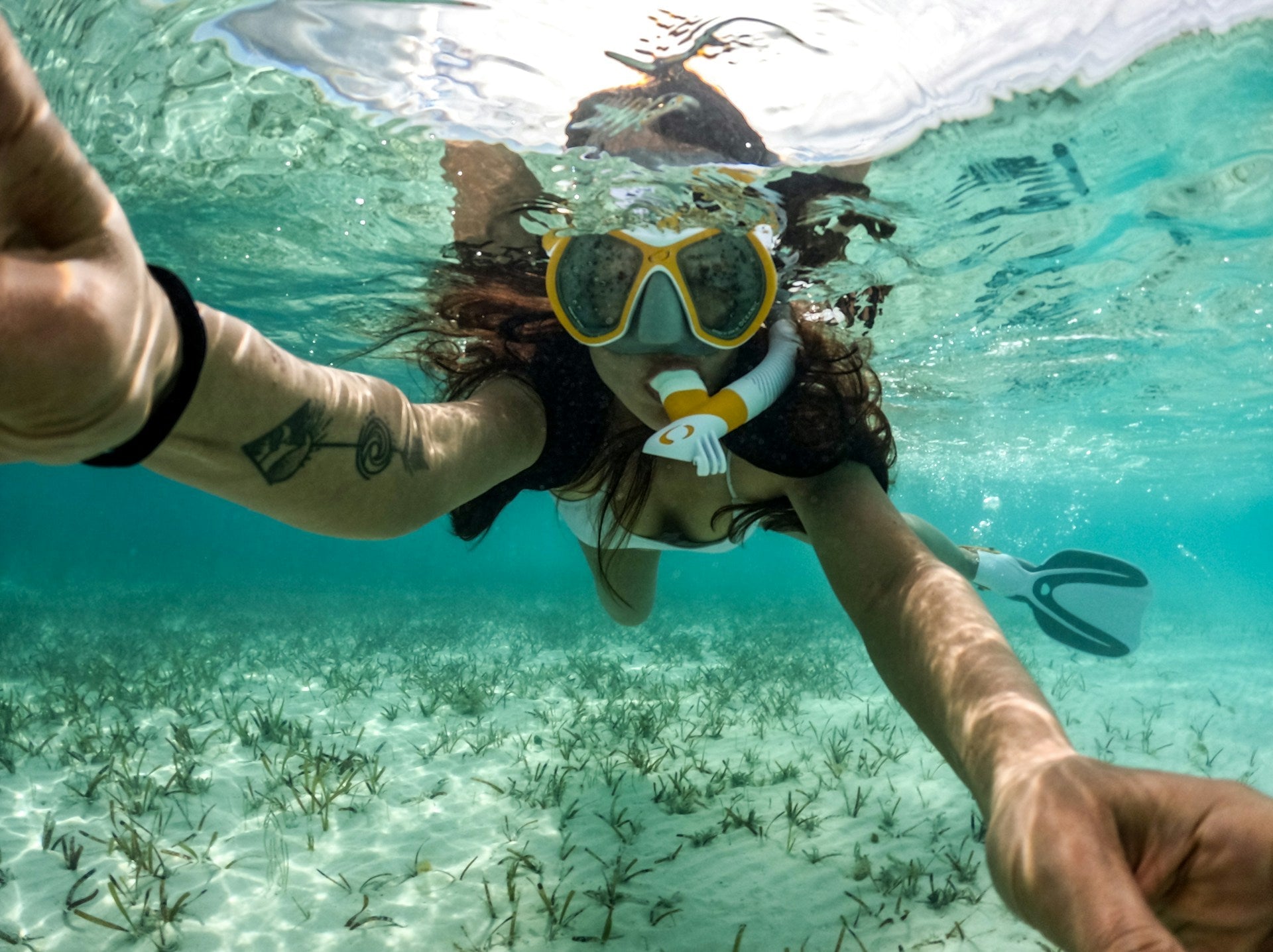 Snorkeling with a sea turtle over a reef in Cozumel