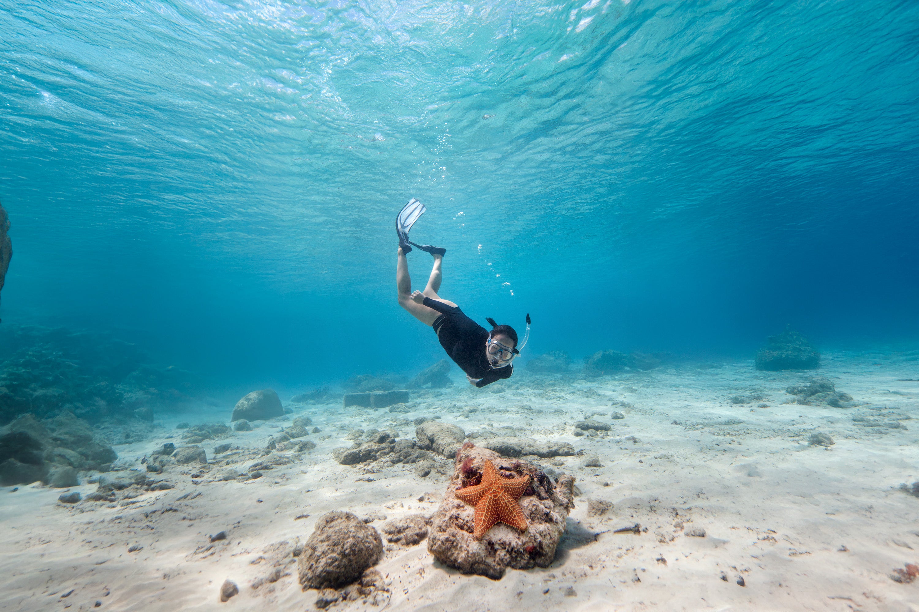 Tulum Mayan Snorkeling Adventure: in Yalku, Cenote & Kaan Luum Lagoon