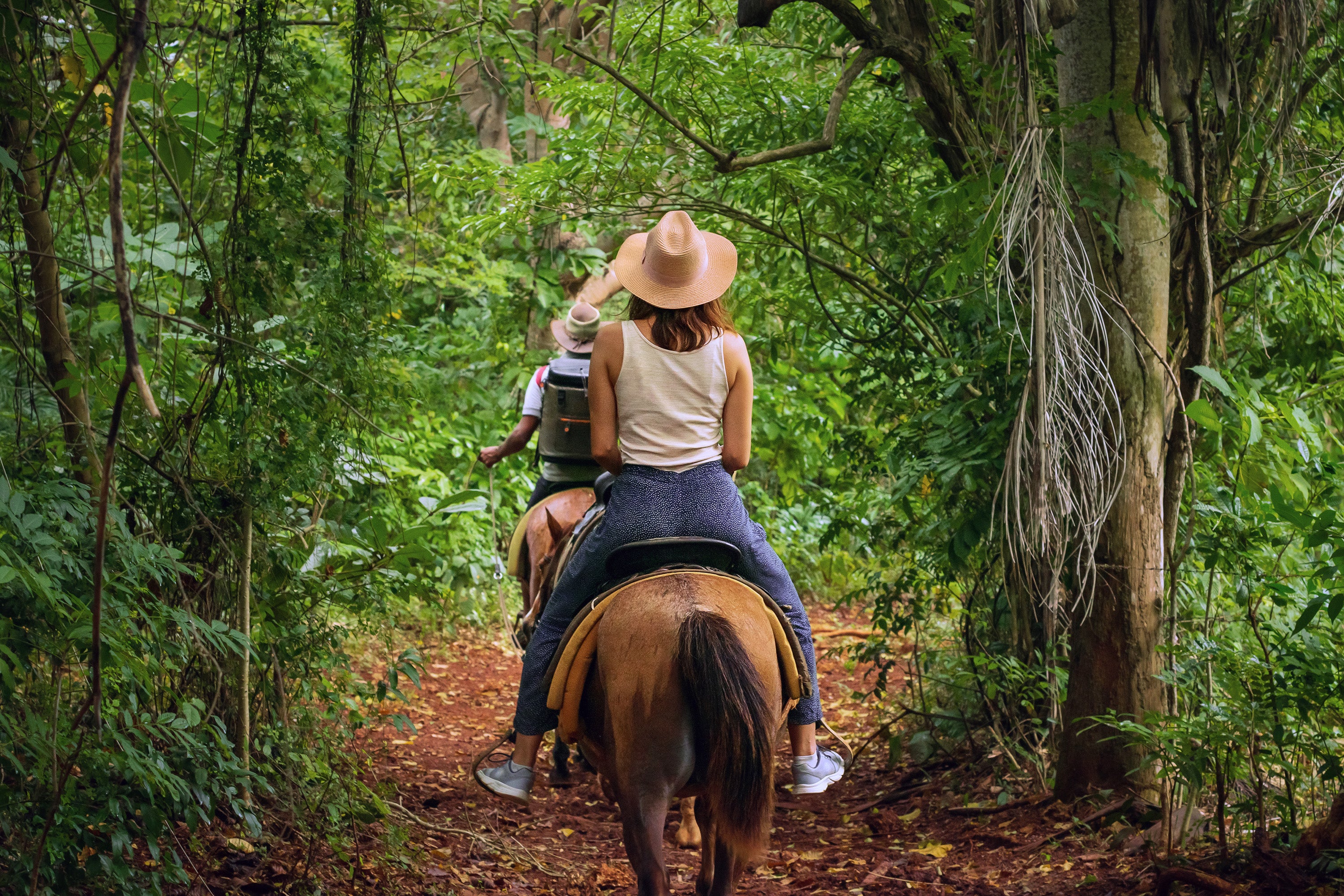 Tulum Jungle Adventure: Horseback Cenote Exploration