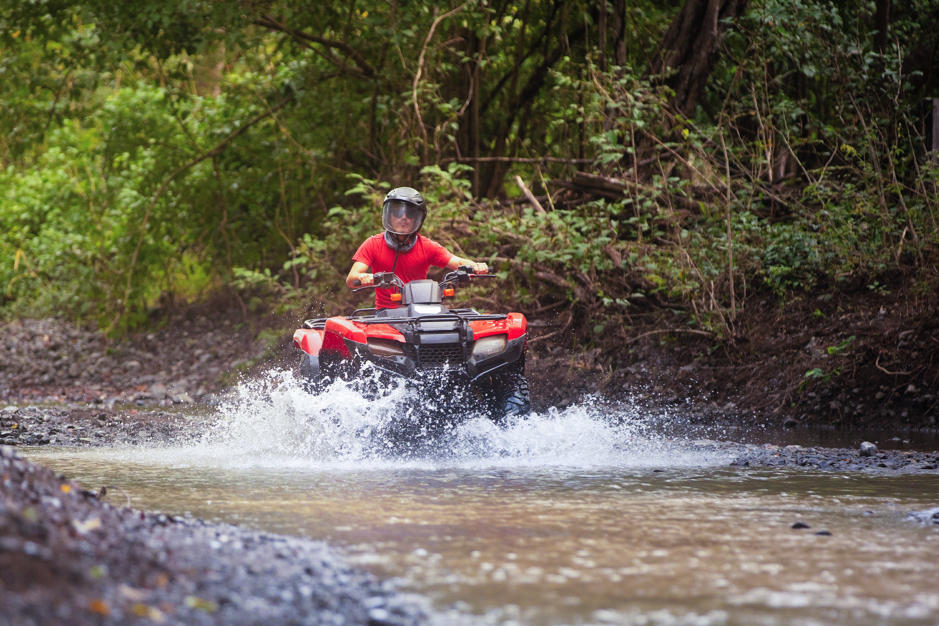 Turtle Swim & Jungle Adventure Tour: Ziplines, Rappel, ATV & Cenote Exploration