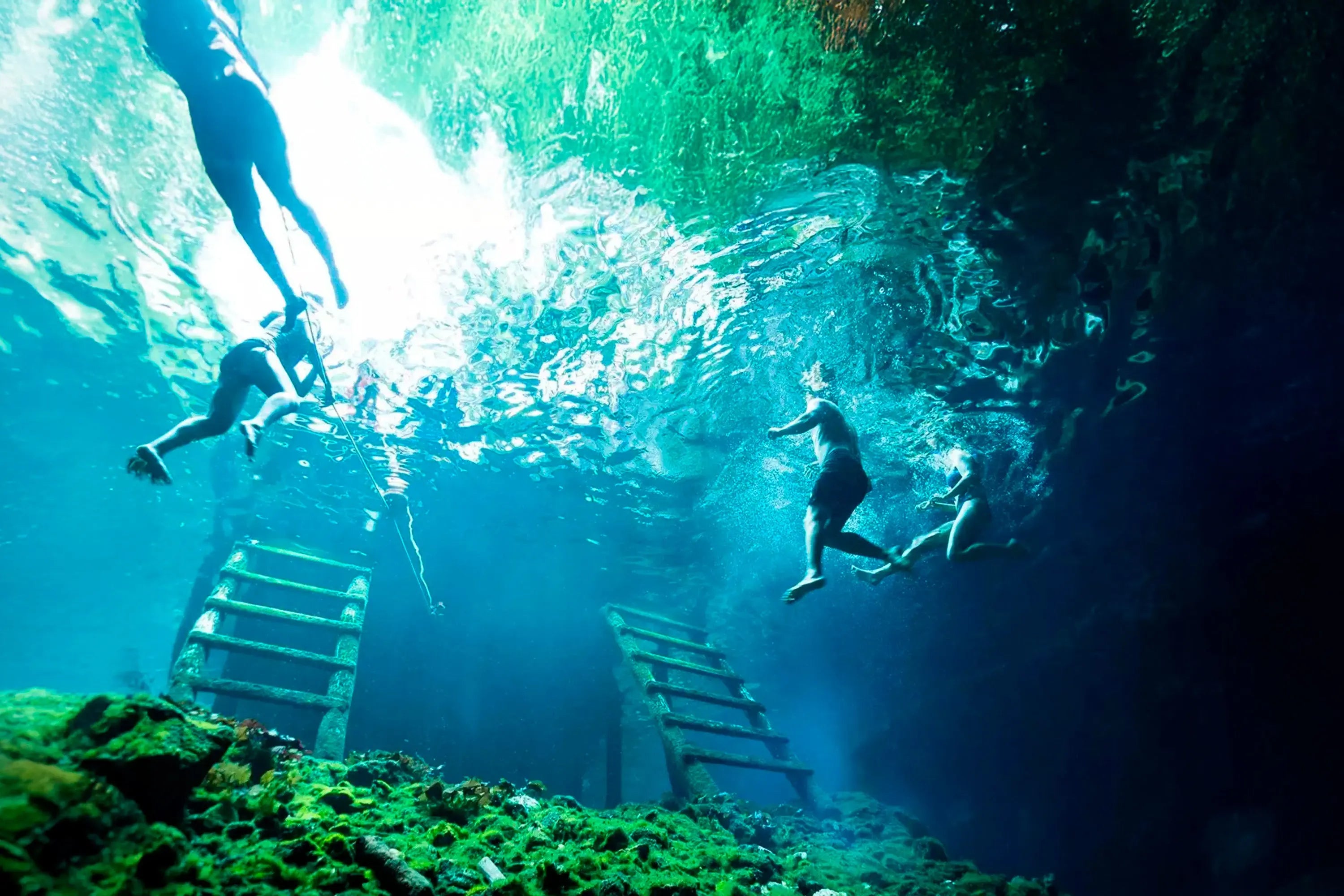 Ultimate Riviera Maya Adventure Tour: Ziplines, Rappelling & Cenote Exploration Maya Adrenaline- Adventure tourism Mexico