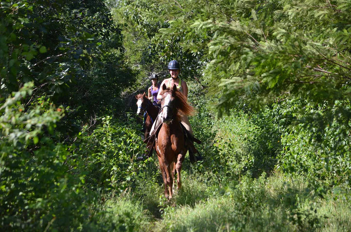 Horseback riding through lush green landscapes