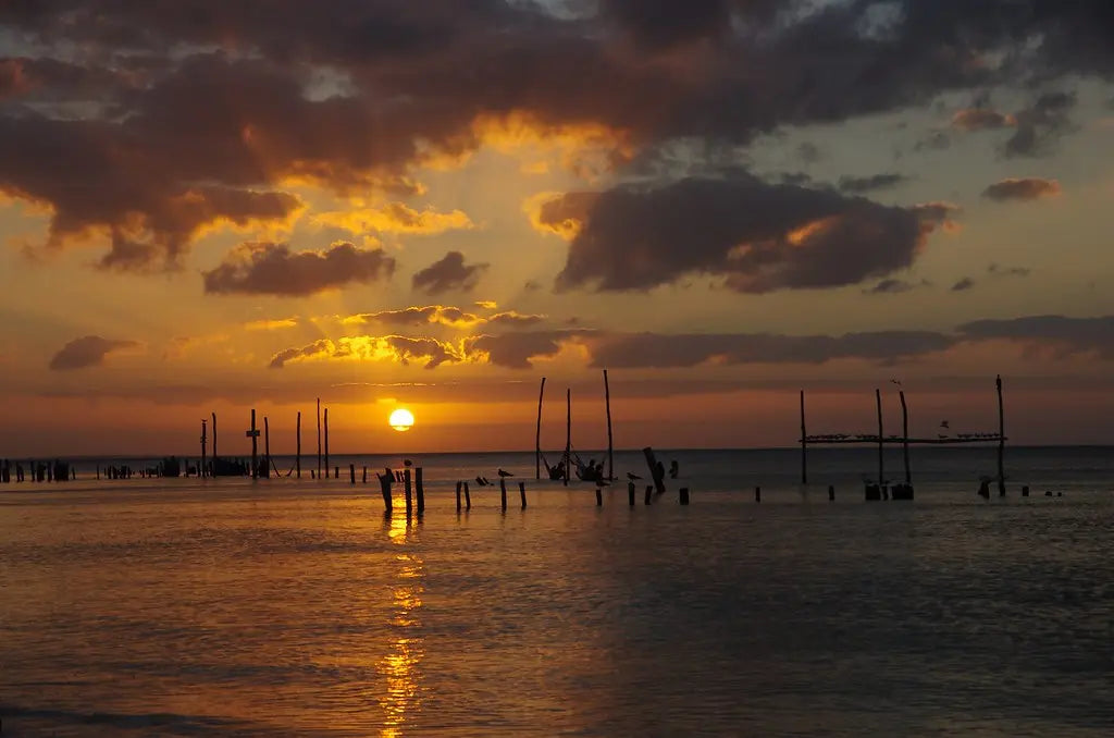 Explore the Magic of Holbox: Isla de la Pasión, Yalahau & Authentic Local Flavors