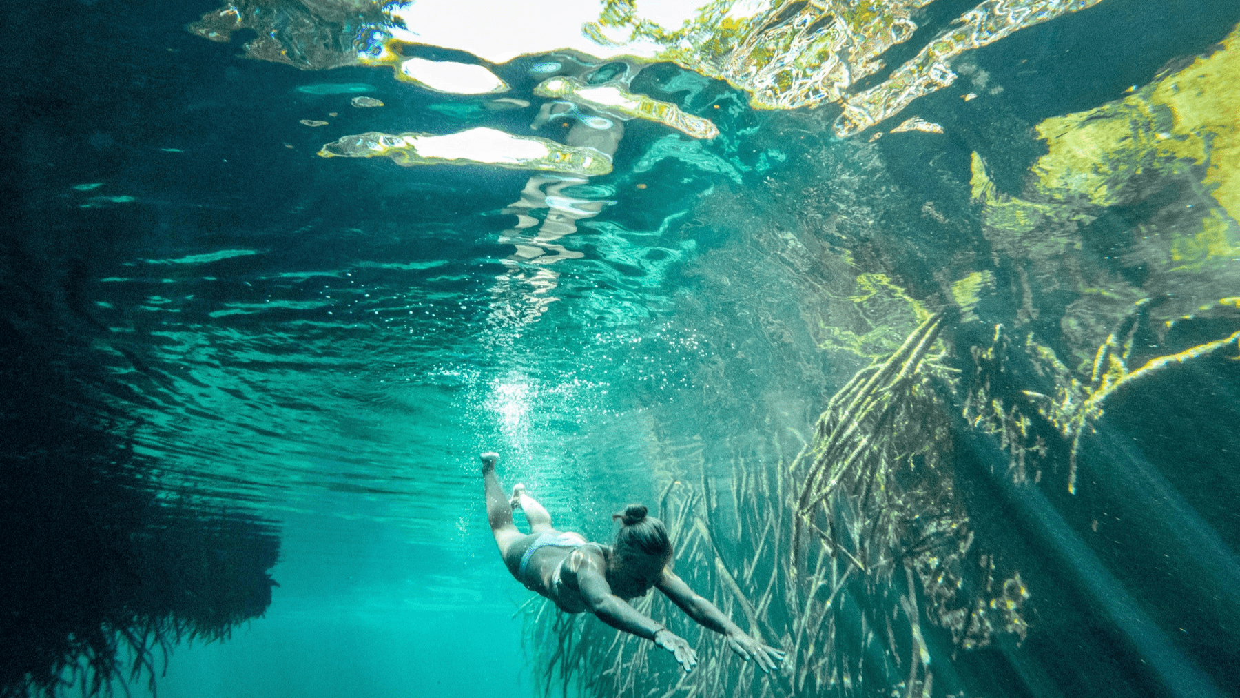 Half-day Cancun: Horseback riding, ATV, zipline & cenote