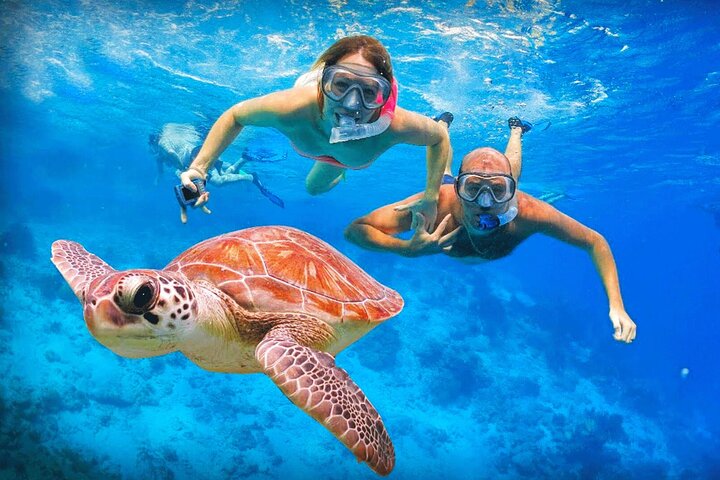 Snorkeling with sea turtles in Akumal Bay near Tulum