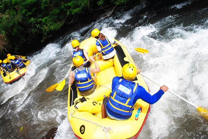 Rafting team paddling the Telaga Waja River rapids