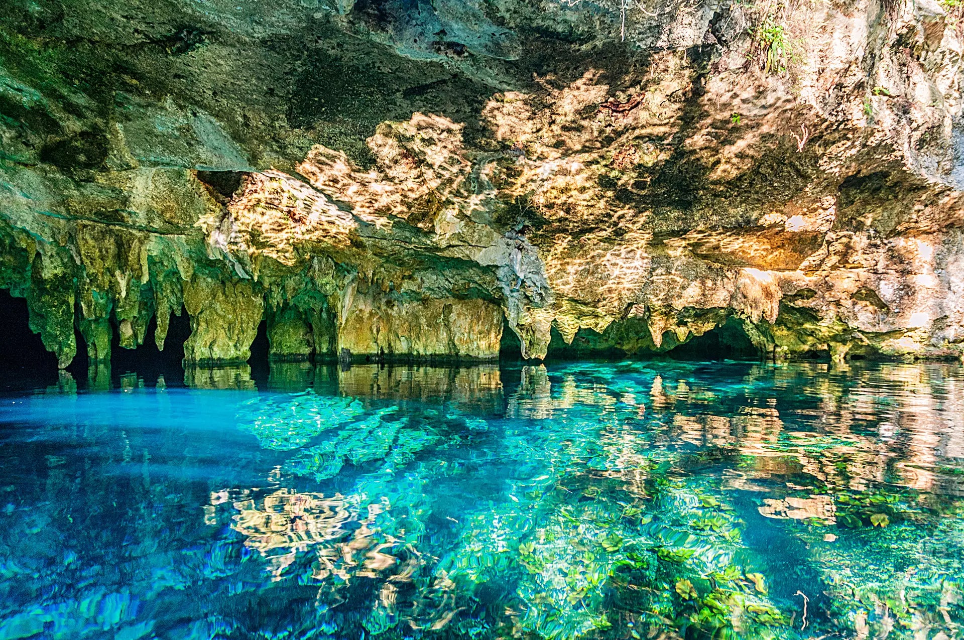 Dive into the Aquatic Explosion Tulum Adventure! 🚀🌟 Experience mind-blowing aquatic thrills – zipline into refreshing waters, rappel down vertical walls, conquer rugged terrains on ATVs, immerse in Mayan culture, and explore a mysterious cave cenote. Unforgettable day from Playa del Carmen and Tulum! 🏜️🪢🏊‍♂️🚵‍♀️ #AquaticExplosion #ZiplinesAndATVs #MayanCeremony #CaveCenoteExploration