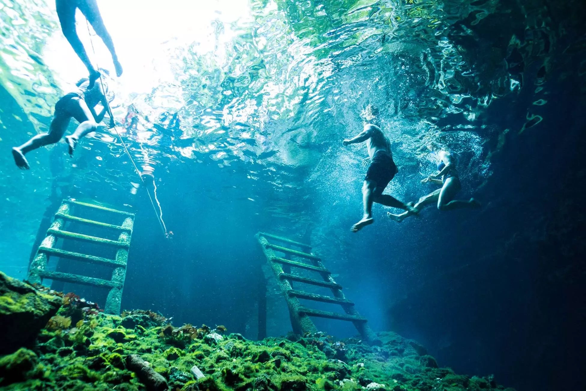 Dive into the Aquatic Explosion Tulum Adventure! 🚀🌟 Experience mind-blowing aquatic thrills – zipline into refreshing waters, rappel down vertical walls, conquer rugged terrains on ATVs, immerse in Mayan culture, and explore a mysterious cave cenote. Unforgettable day from Playa del Carmen and Tulum! 🏜️🪢🏊‍♂️🚵‍♀️ #AquaticExplosion #ZiplinesAndATVs #MayanCeremony #CaveCenoteExploration