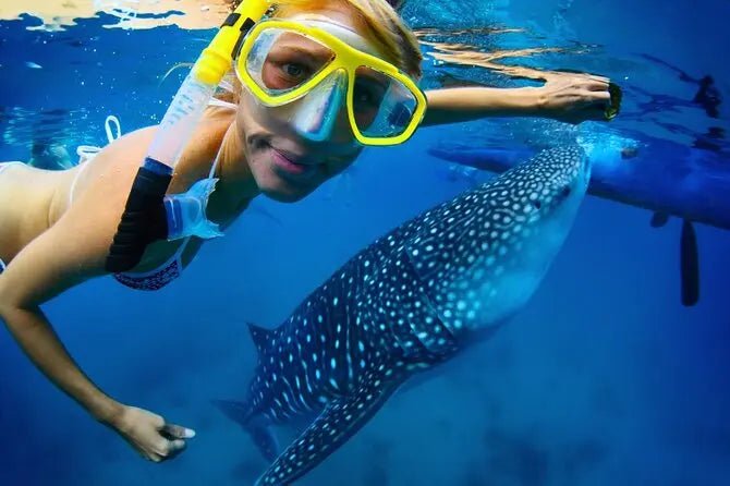 Cancun/Isla Mujeres Swiming with Whale Sharks Adrenalina Tours LLC