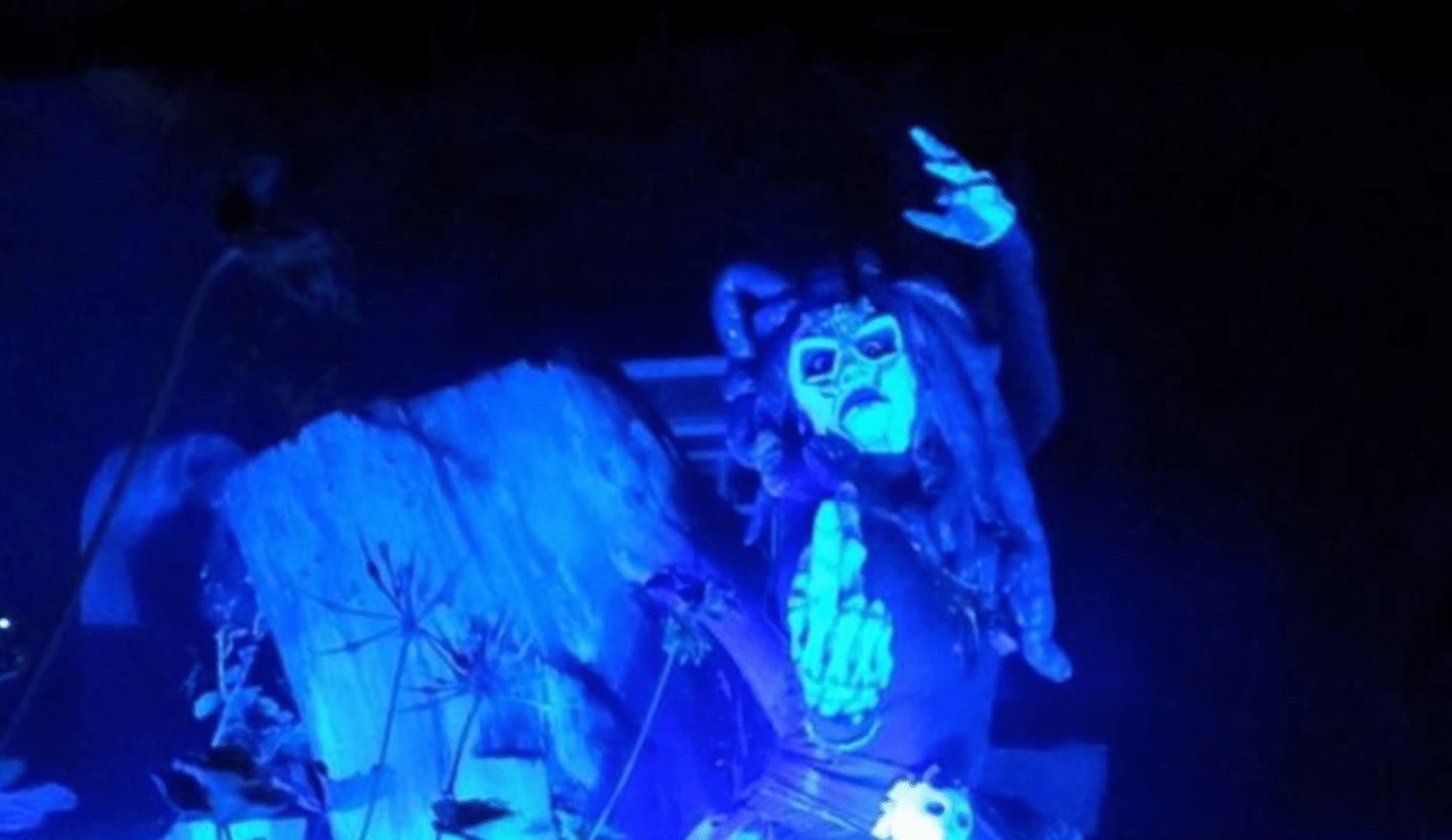 tickets for witch show CDMX on a Chinampa in Xochimilco + diner + transportation Adrenalina Tours LLC- Adventure tourism Mexico