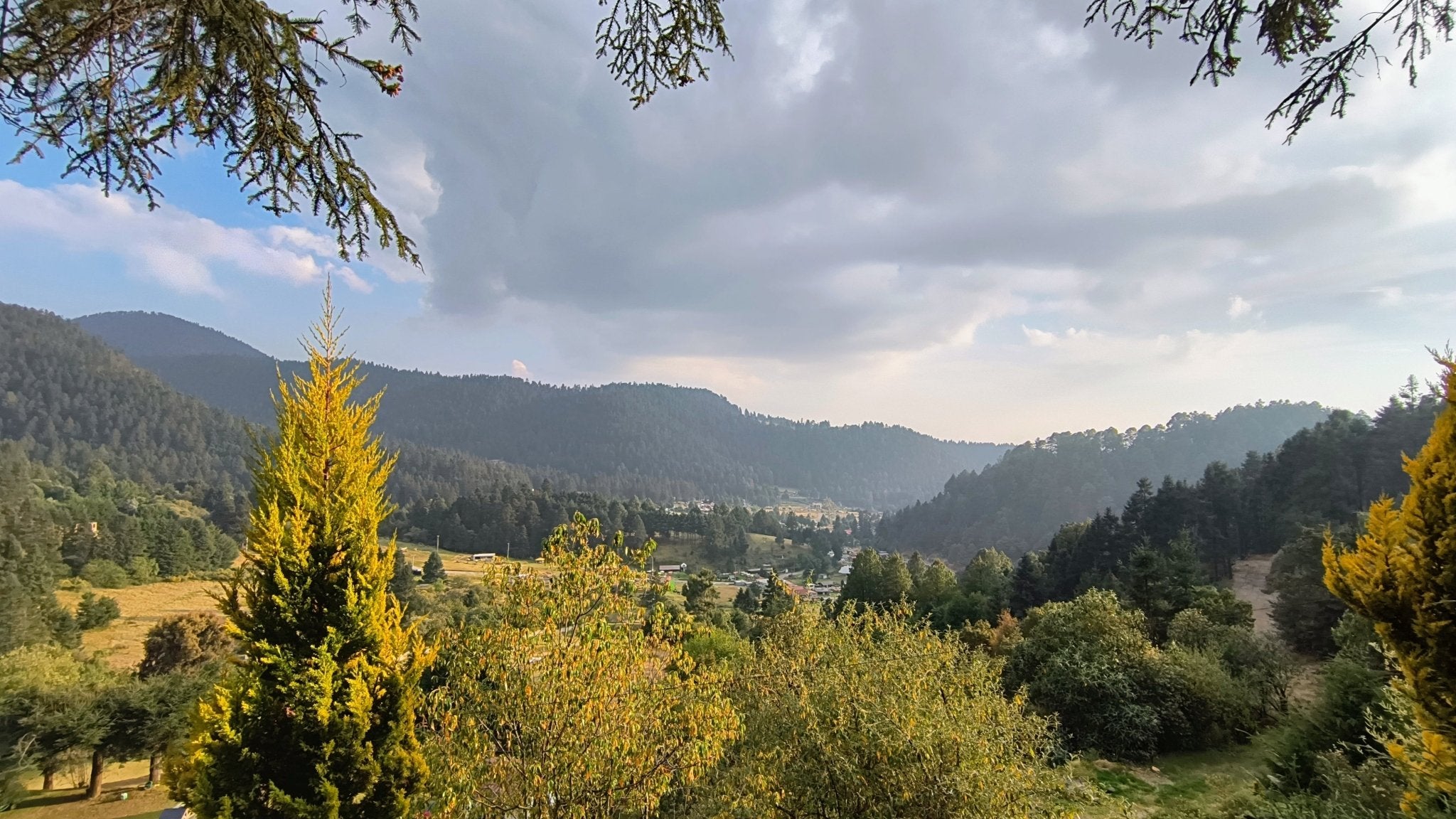 ATV in forest - Pulque Tasting - Round transportation from CDMX Adrenalina Tours LLC- Adventure tourism Mexico