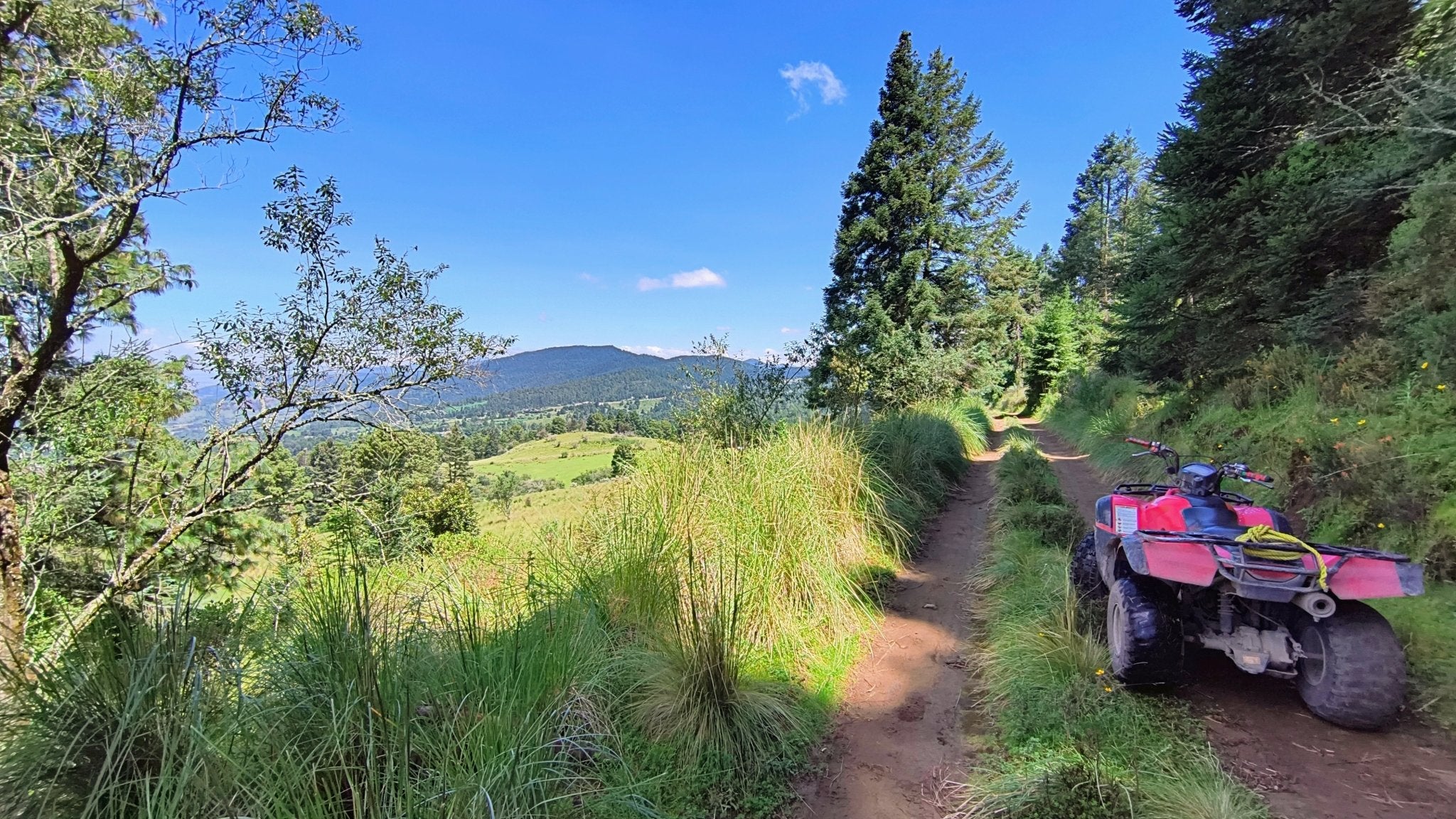 ATV in forest - Pulque Tasting - Round transportation from CDMX Adrenalina Tours LLC- Adventure tourism Mexico