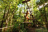 4 Hours Cancun Jungle Buggy Tour with zipline Circuit & cenote