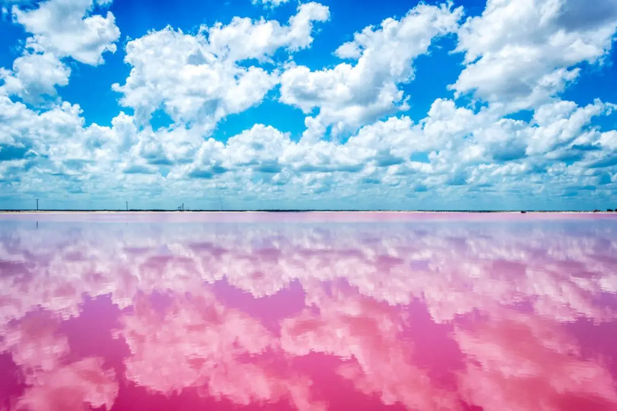 Las Coloradas and Rio Lagartos Tour from Playa del Carmen Easy tours- Adventure tourism Mexico