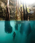 Chichen Itza + Iconic Cenotes: Swim, Snap & Wonder Easy Tours- Adventure tourism Mexico