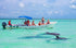 Tulum Sian Ka’an Adventure: Dolphins, Turtles & Punta Allen - Adrenalina Tours LLC CUN