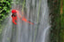 Kedu Canyon canyoning with a certified guide, Bali