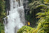 Guests in helmets and wetsuits in a North Bali canyon