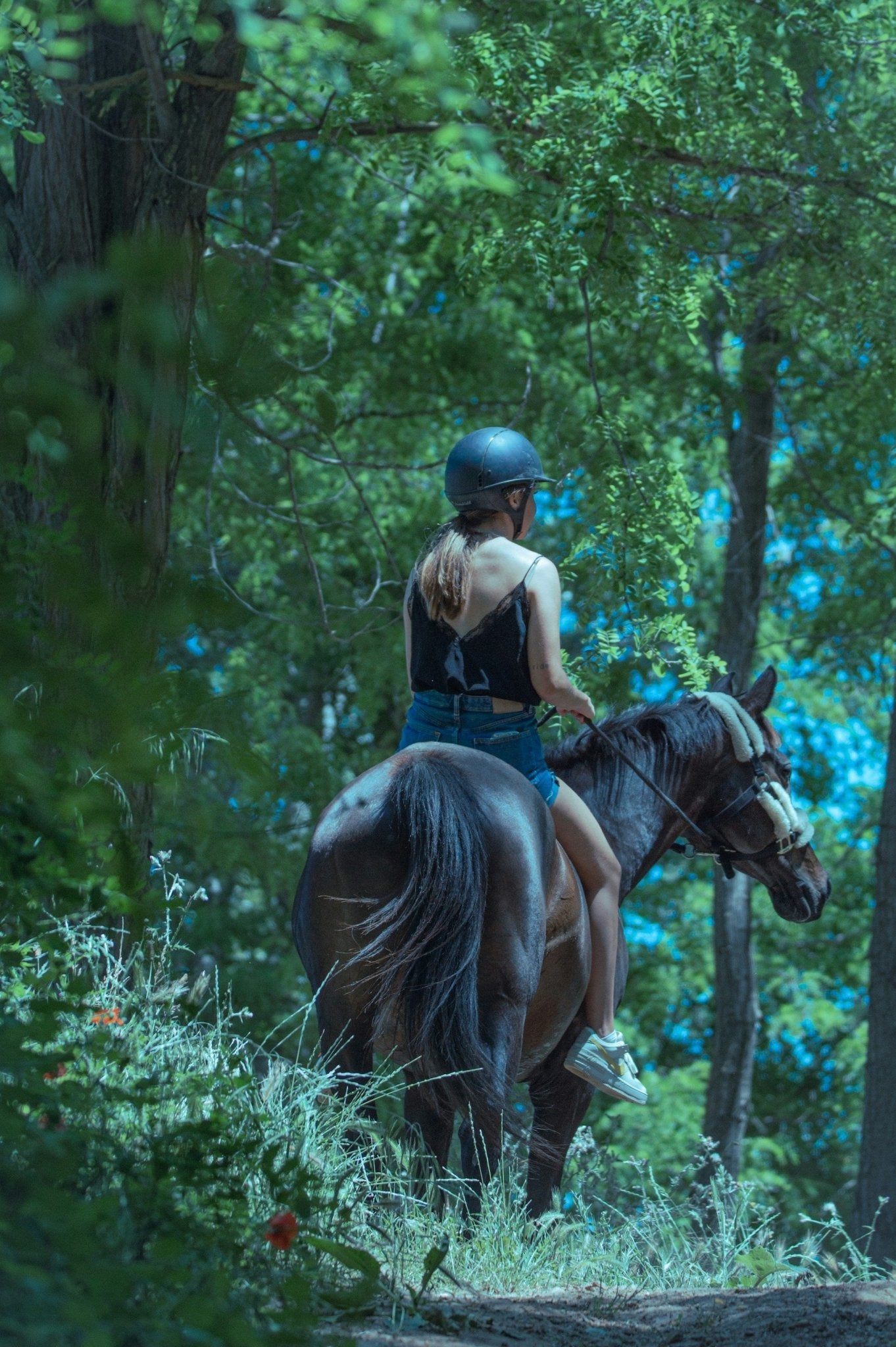 Half-day Cancun: Horseback riding, ATV, zipline & cenote Adrenalina Tours LLC- Adventure tourism Mexico