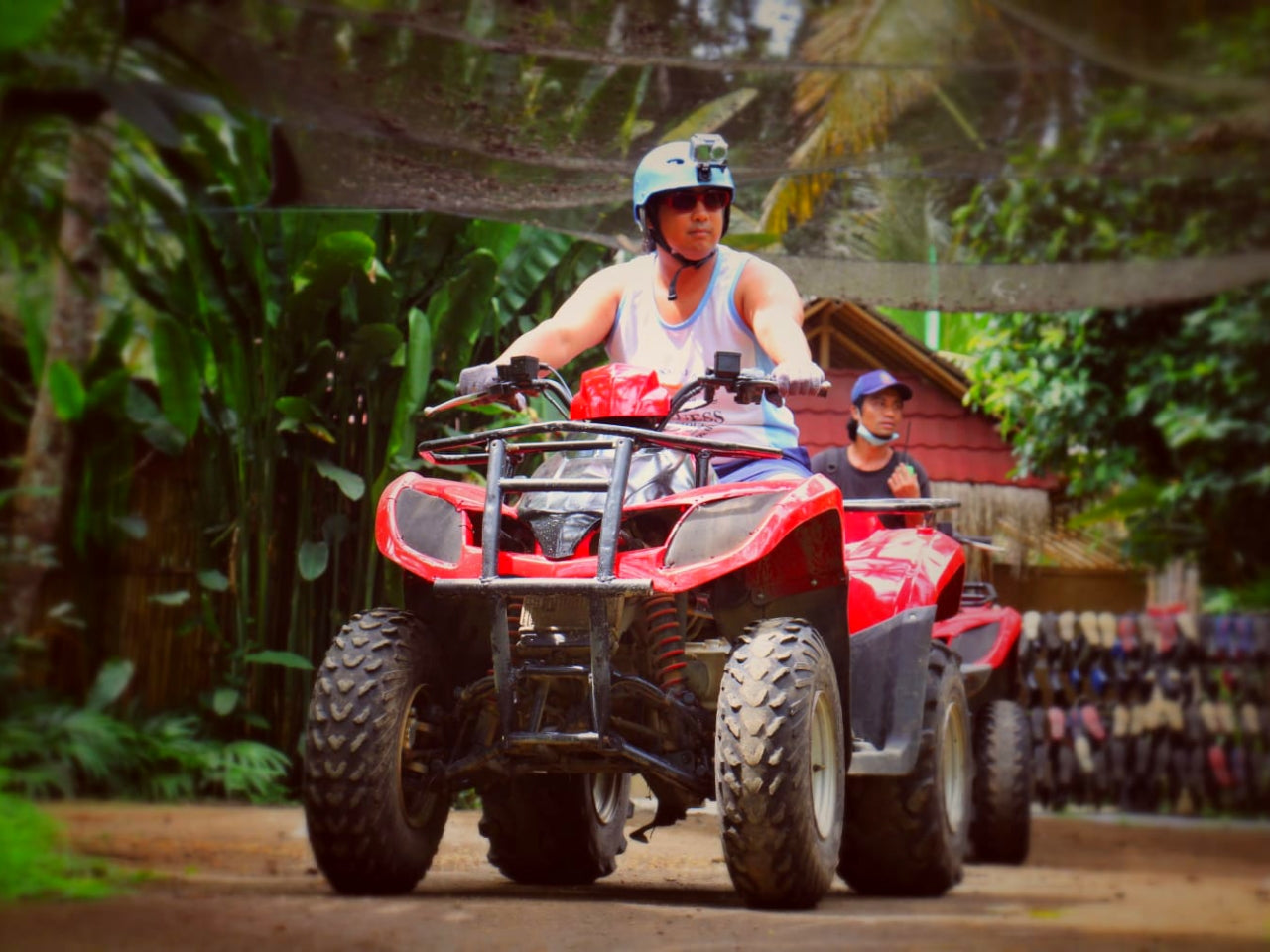 Bali jungle swing scenic adventure