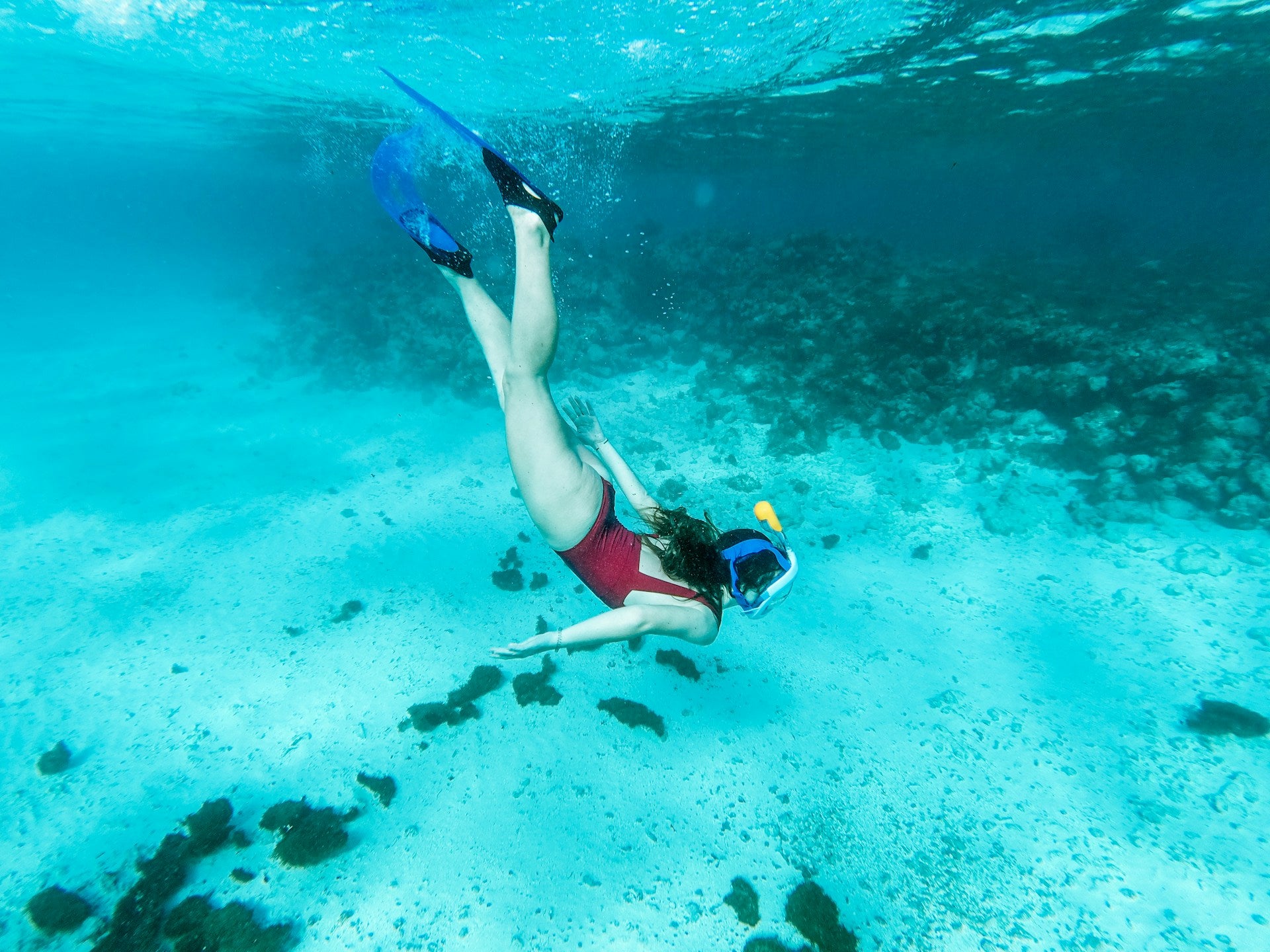Cozumel Snorkeling Tour: Swim with Turtles at El Cielo