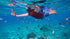 Cozumel Snorkeling Tour: Swim with Turtles at El Cielo