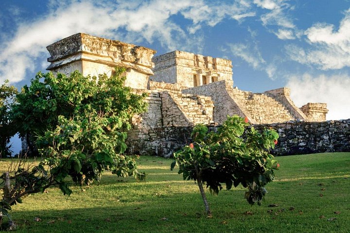 Tulum ruins, cenote and turtle tour