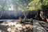 Tulum jungle ATV and zipline tour