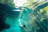 Snorkeling with sea turtles in Akumal Bay near Tulum