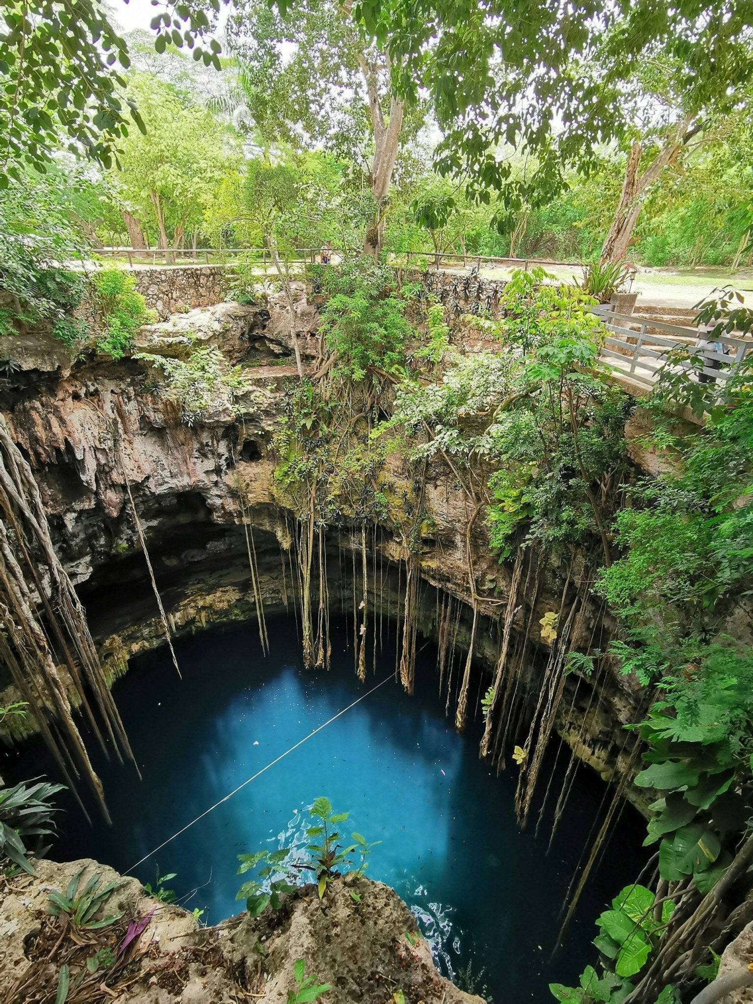 Cancun Cenote Adventure: Swim in 3 Cenotes with zipline & waterfall - Adrenalina Tours LLC
