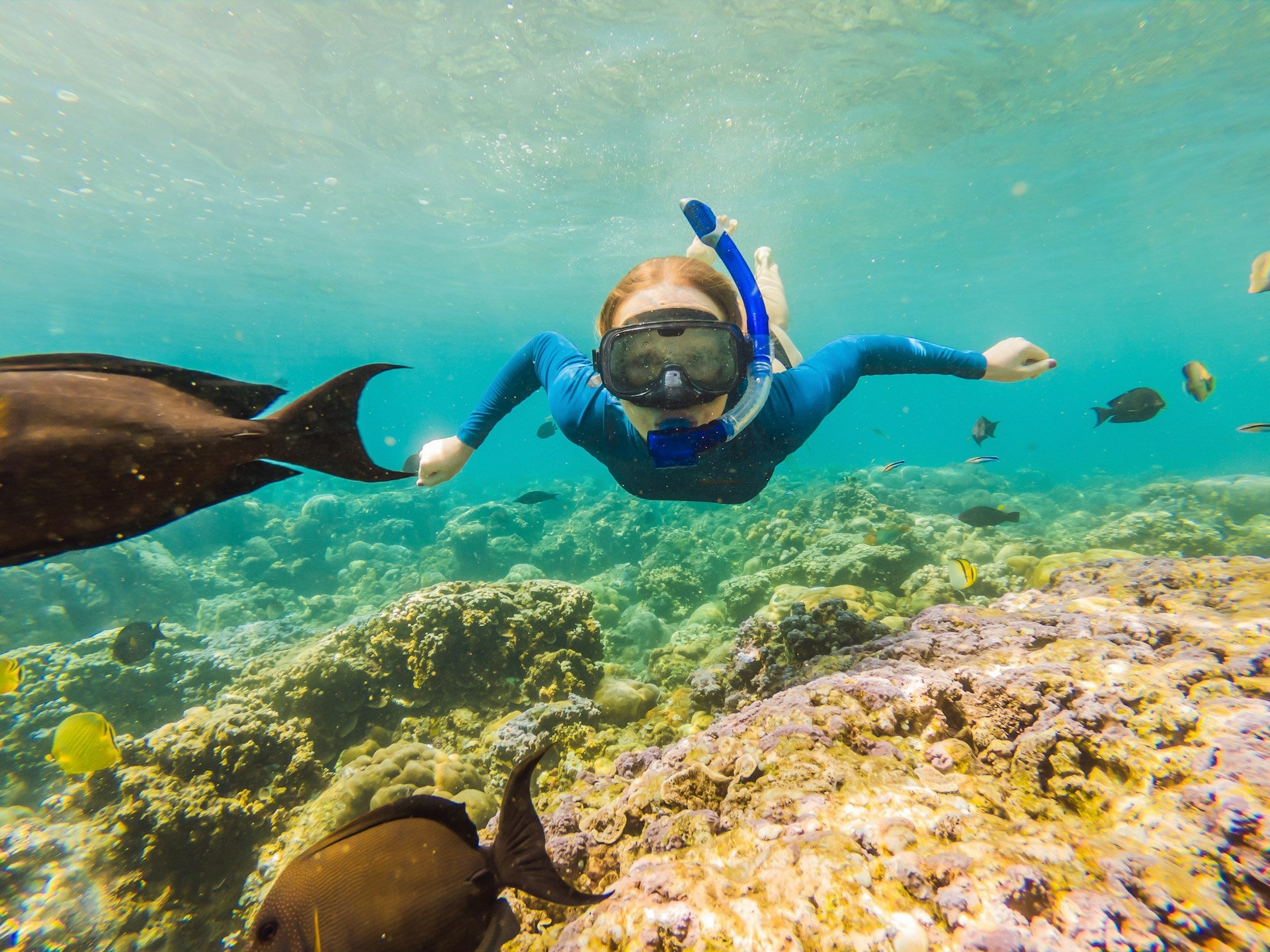 Shallow-reef snorkeling in Cozumel, turquoise water and coral