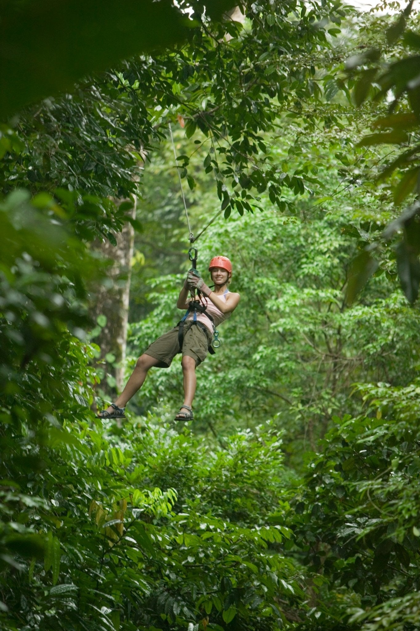 Green jungle trail, lush nature along the tour route