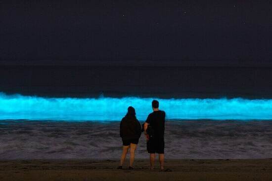 Glowing water in Holbox