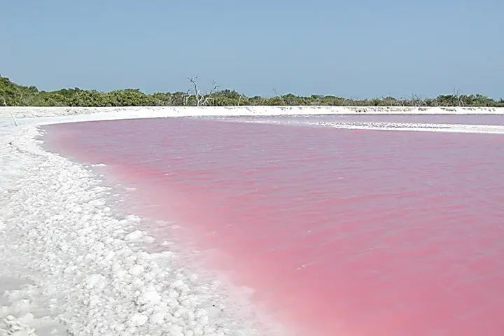 Las Coloradas and Rio Lagartos Tour from Playa del Carmen Easy tours- Adventure tourism Mexico