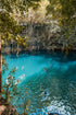 Cancun Cenote Adventure: Swim in 3 Cenotes with zipline & waterfall - Adrenalina Tours LLC