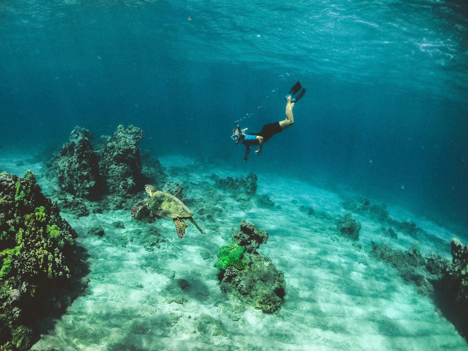 Cancun: snorkeling adventure at Puerto Morelos Reef