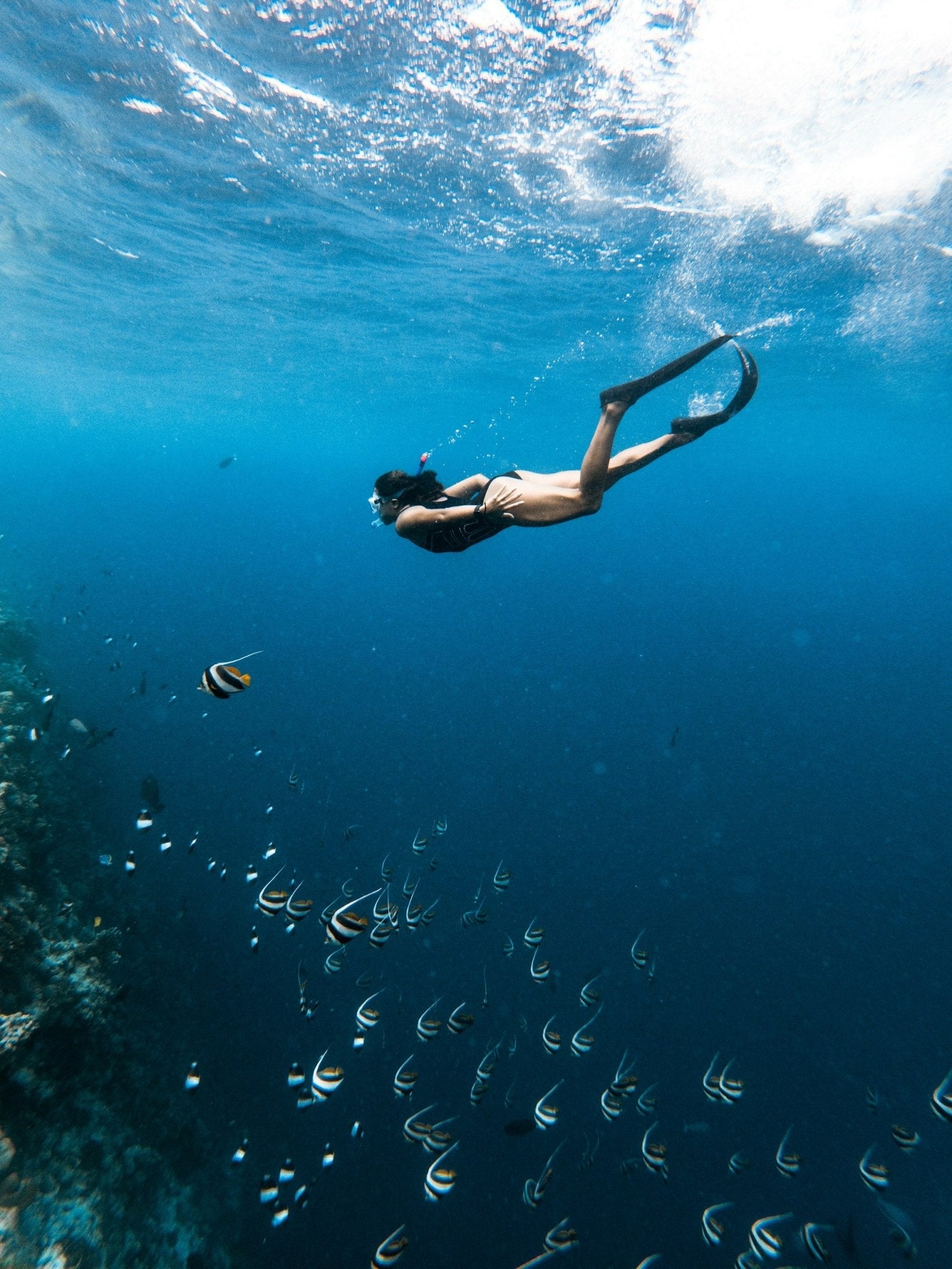 Snorkeling on Puerto Morelos reef, clear water with tropical fish
