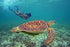 Tulum. Mayan Snorkel: Reefs + Cenote & Kaan Luum lagoon - Adrenaline