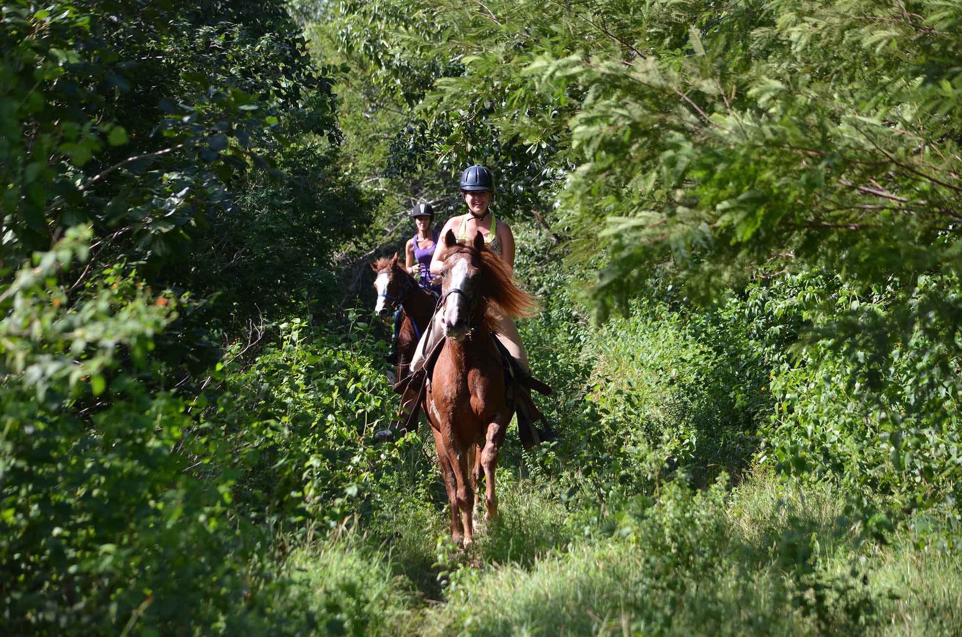Tulum. Exploring cenotes on horseback through the Mayan jungle - Adrenaline