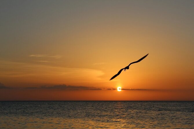 Holbox Island Private Sunset Tour - Adrenaline