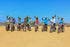 Los Cabos: Electric Bike Beach and Dunes Tour - Adrenaline