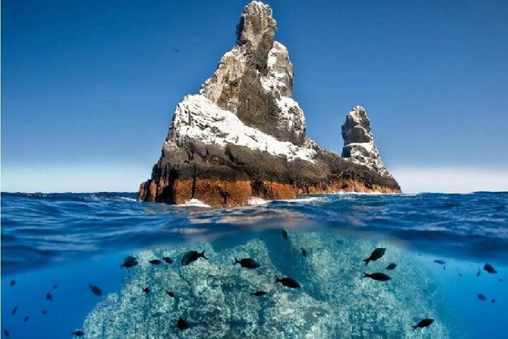La Paz. Swim with Sea Lions at Espíritu Santo Island - Adrenaline