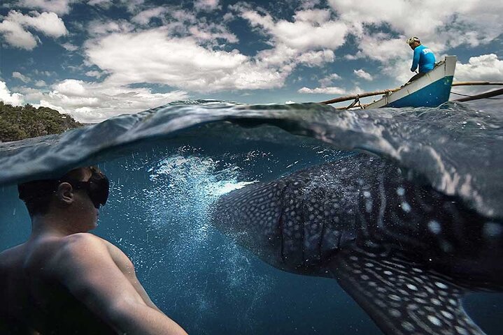 Seasonal experience alert! Book your spot now for a unique opportunity to swim with whale sharks in La Paz. Limited to 100 visitors per day, so secure your adventure. Explore beautiful beaches, enjoy a delicious picnic, and partake in various water activities. Inclusions: snorkeling equipment, bottled water, neoprene suit, ceviche picnic, and taxes. Exclusions: transportation and tips. Tour availability from December to April, subject to weather conditions and government instructions.