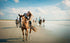Holbox Horseback Adventure: Guided tour through the Caribbean paradise. Ride beautiful horses amid lush mangroves and serene waters. Friendly guides, riding instructions, and helmets provided. Immerse in natural beauty - mangroves, white sand beaches, and vibrant shades of blue. A once-in-a-lifetime opportunity to create unforgettable memories. Book now for a magical ride with nature! #HolboxHorsebackAdventure #CaribbeanParadiseTour