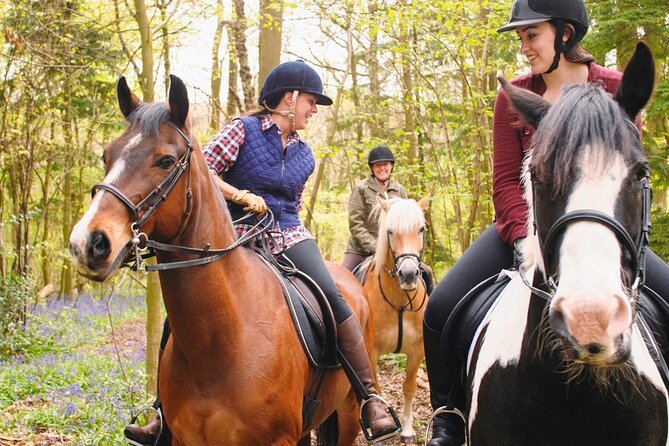 Mexico City. Adrenaline: atv+ zipline + horses + wall climbing - Adrenaline