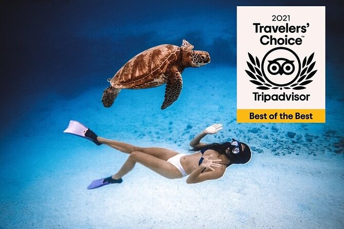 Swim with turtles + ziplines + rappel + atv & cenote adventure - Adrenaline