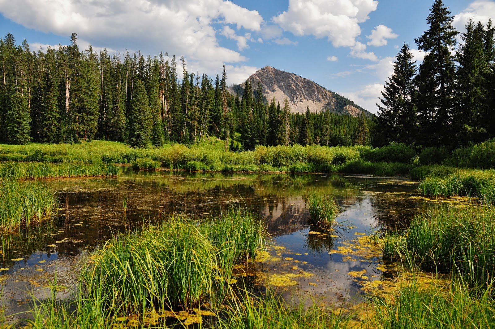Mexico City. Horseback riding in the forest & food tasting - Adrenaline